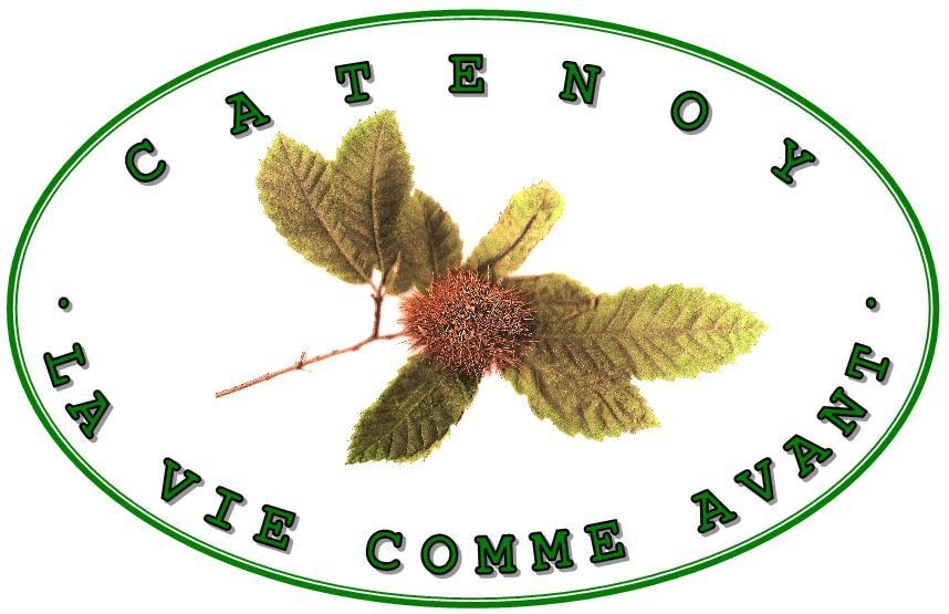 LOGO LA VIE COMME AVANT